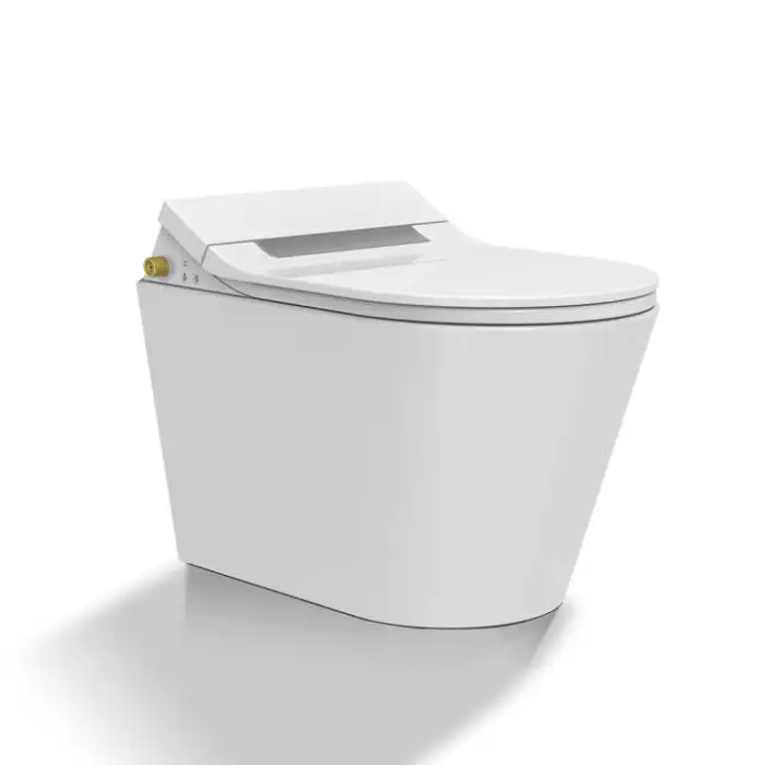 Smart Toilet Bidet Multifunctional Urea Shower Toilet Highly Qualified Intelligent Toilet Seat