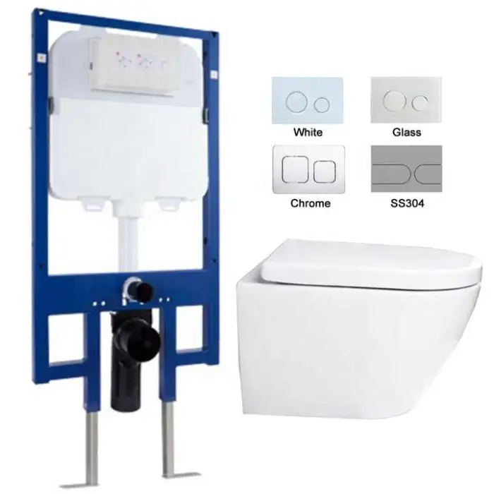 Modern Design Wall Hung Ceramic Toilet Concealed In-Wall Dual Push Button Dual Flush Plate