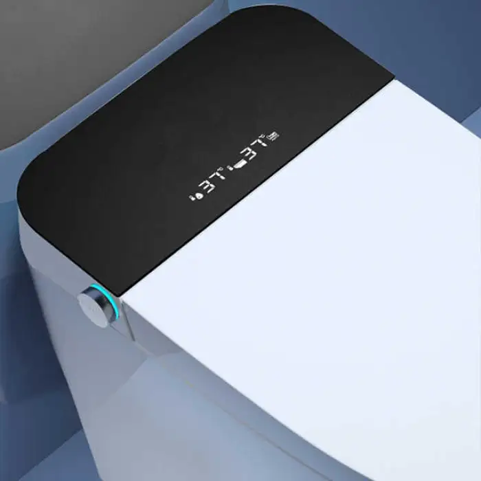 Warm air Drying Automatic Bidet Smart One Piece Toilet Bowl Ceramic Smart Toilet