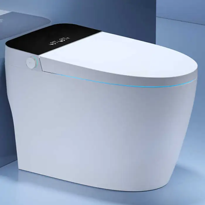 Warm air Drying Automatic Bidet Smart One Piece Toilet Bowl Ceramic Smart Toilet