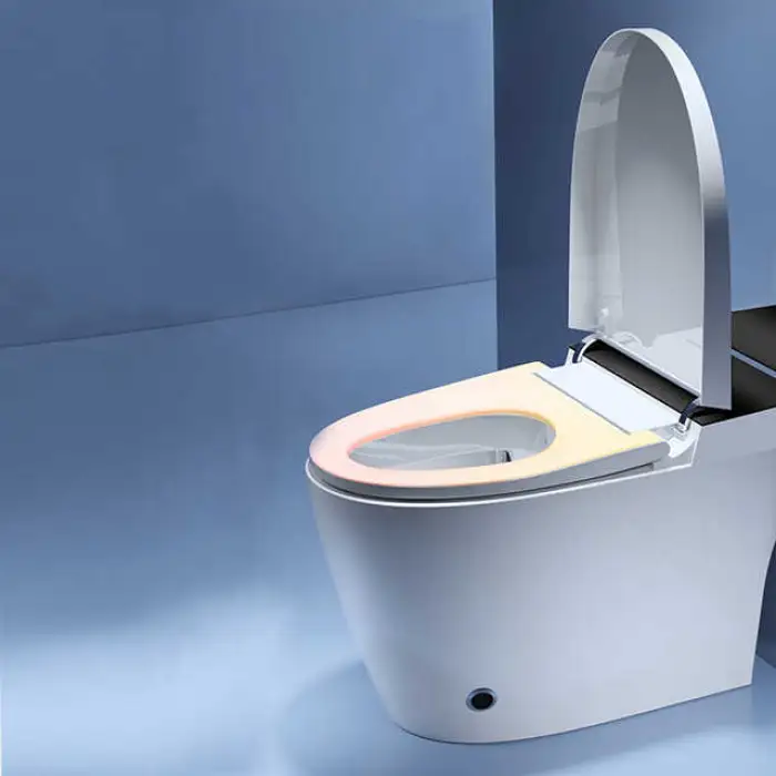 Warm air Drying Automatic Bidet Smart One Piece Toilet Bowl Ceramic Smart Toilet