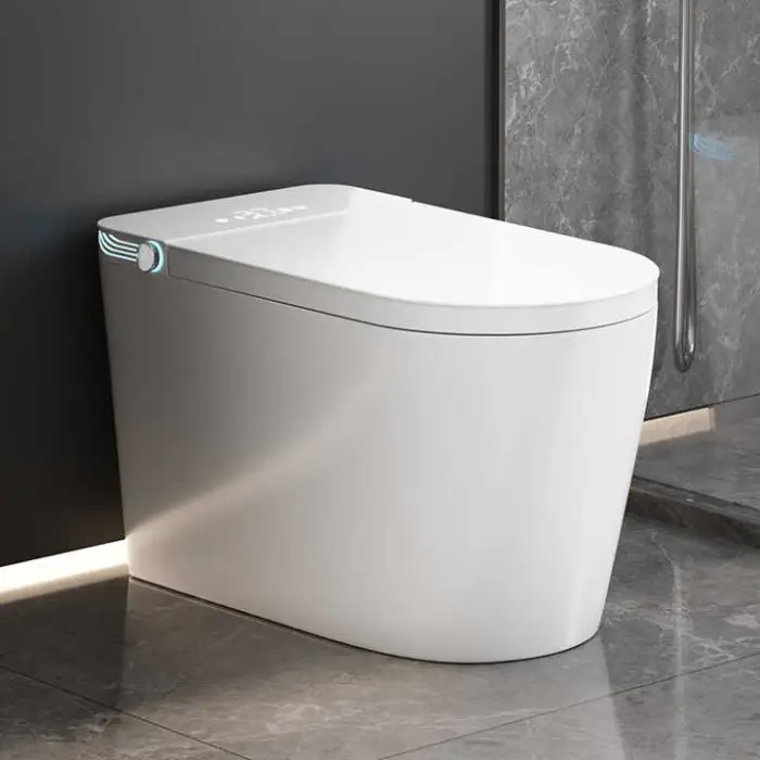 Automatic Ceramic Smart Toilet Floor Mounted Sanitary Ware Remote Control Convenient Intelligent Seat Heating