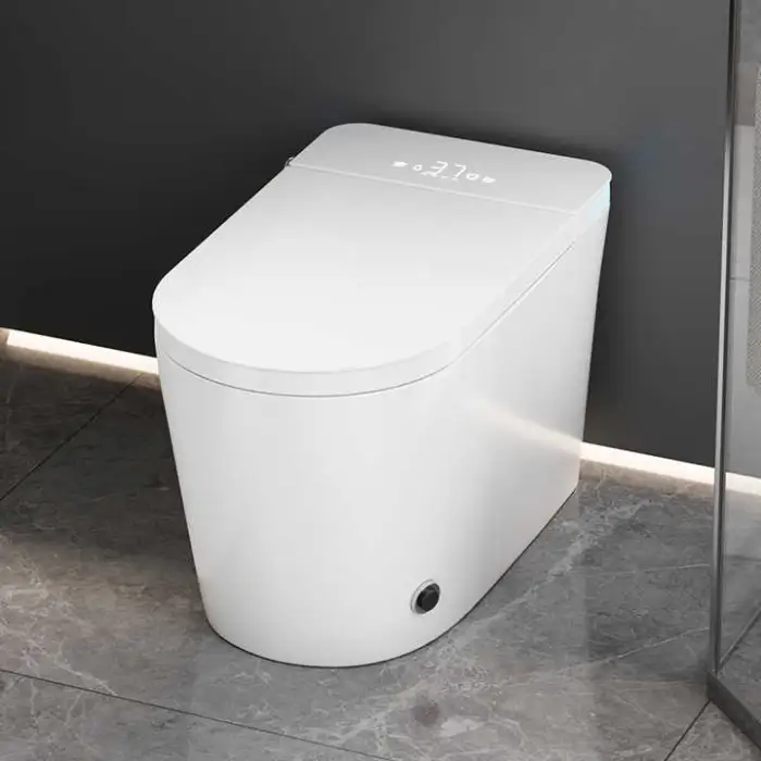 Automatic Ceramic Smart Toilet Floor Mounted Sanitary Ware Remote Control Convenient Intelligent Seat Heating