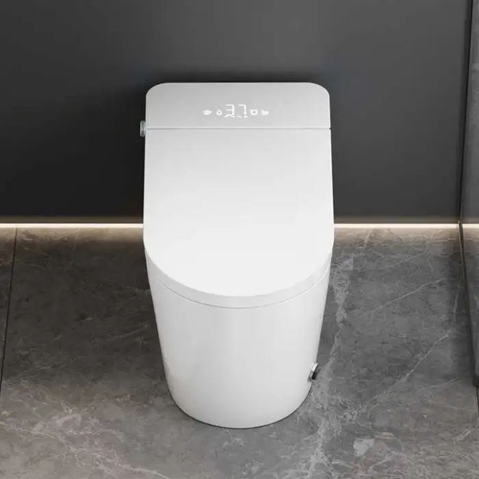 Automatic Ceramic Smart Toilet Floor Mounted Sanitary Ware Remote Control Convenient Intelligent Seat Heating
