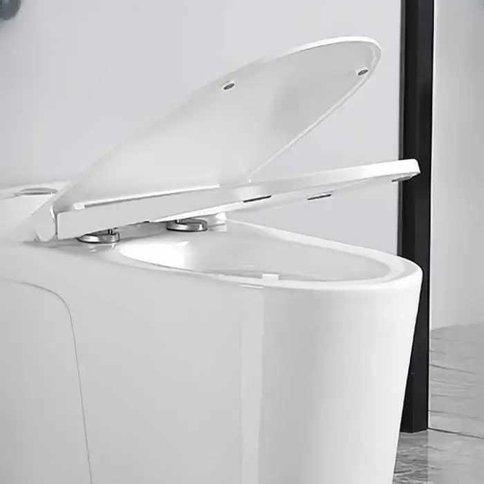 Automatic Electric Smart Toilet Ceramic Bathroom Floor Mounted Elongated Bowl Seat Heating S-Trap Intelligent Features