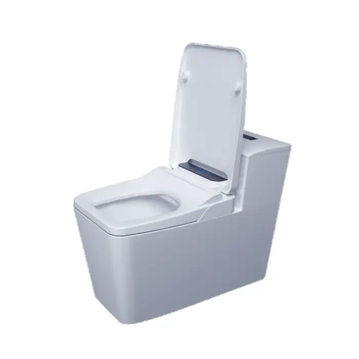 Electric Smart Toilet Seat Cover Heated with Automatic Bidet Intelligent Instant Heating System