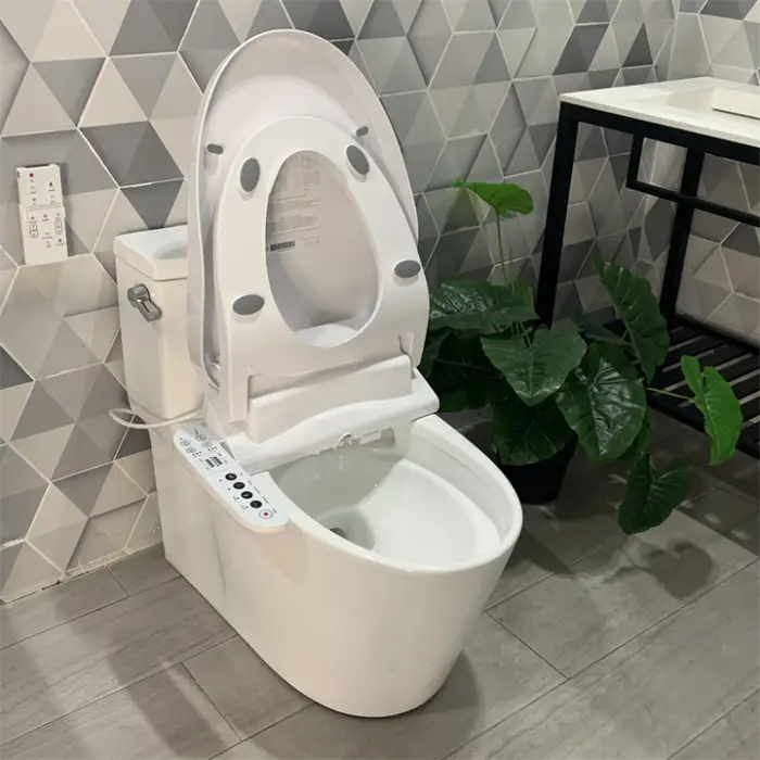 Built-in Bidet Wc Cover Wc Warm Water Auto Clean Intelligent Hygienic Smart Toilet Seat