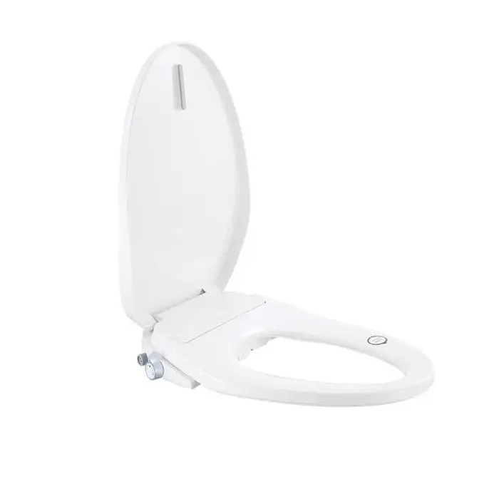 110V Smart Bidet Toilet Seat with Dual Nozzles Instant Heating & Automatic Control Standard Toilet Seat Plastic Material