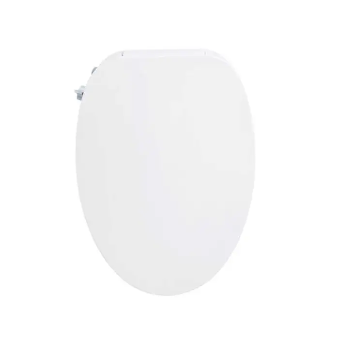 110V Smart Bidet Toilet Seat with Dual Nozzles Instant Heating & Automatic Control Standard Toilet Seat Plastic Material