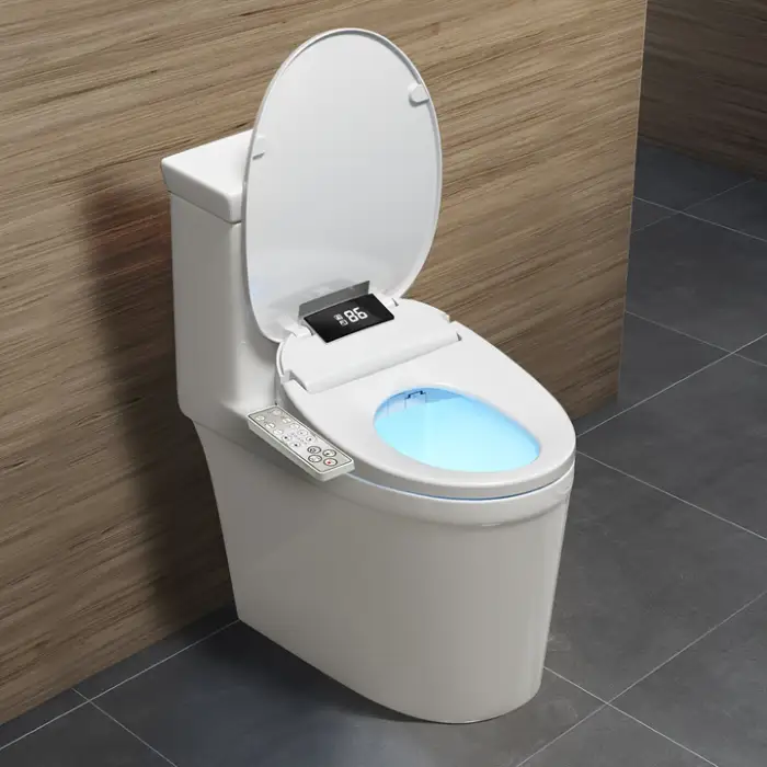 Intelligent Smart Composting Portable Toilet Seat Automatic Remote Controlled Silent Jet Elongated Shape Made Seat Heating