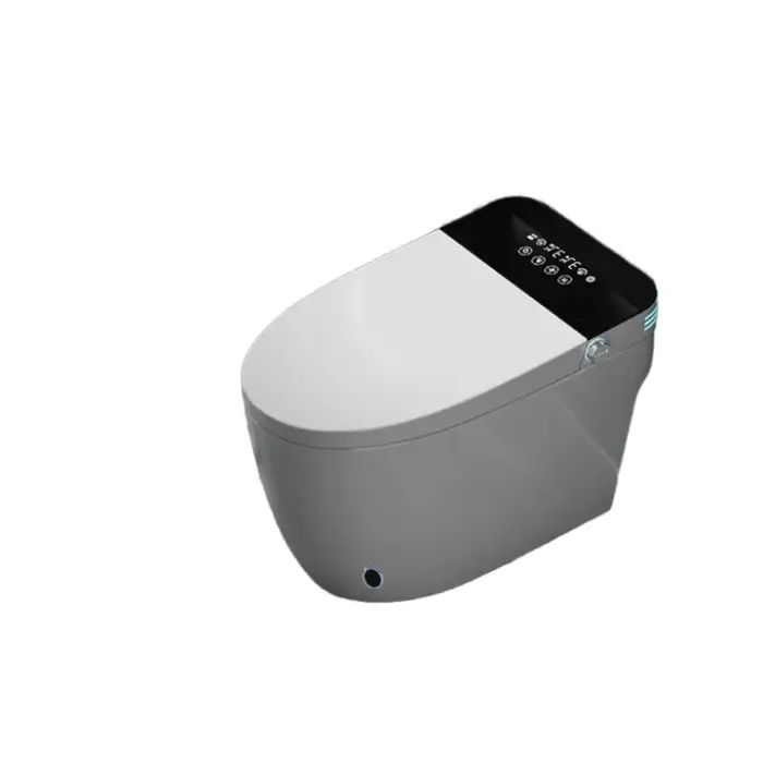 Smart Household Hotel Toilet Seat Fully Automatic Lid Flip Integrated Instant Heating No Water Pressure Limit Drying S-Trap