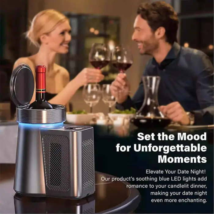 Electronic Fridge Digital Wine Bottle Chiller Portable Wine Cooler Champagne Cooler Drink Cooler