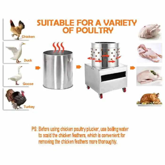Stainless Steel Removing Machine Poultry Chicken Slaughterhouse  Mechanical Processing Equipment