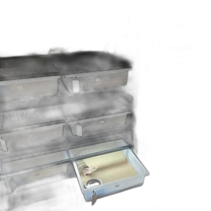 Racks for Snake Reptile Enclosure Snake TankTub Snake Breeding Rack