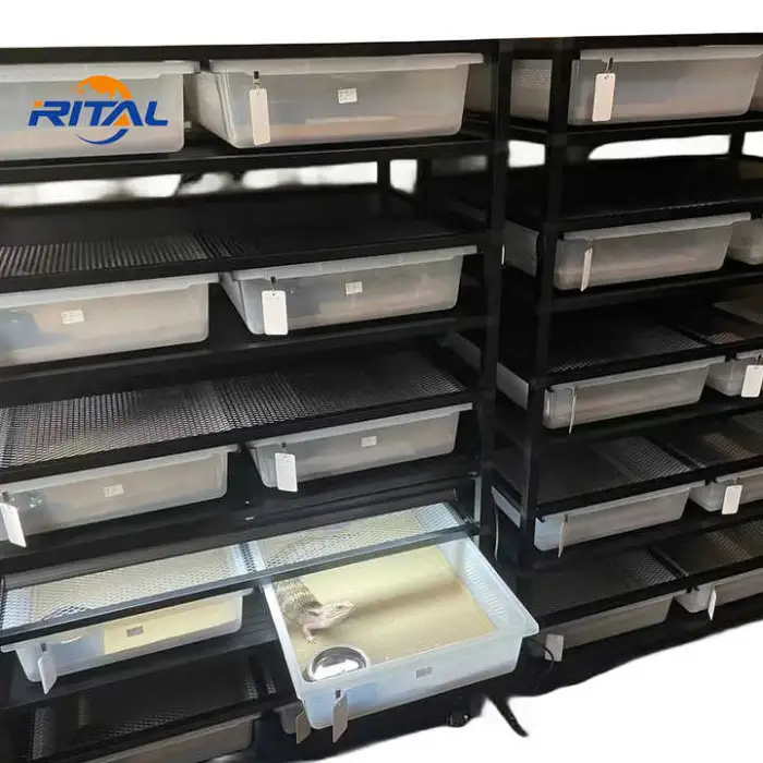 Racks for Snake Reptile Enclosure Snake TankTub Snake Breeding Rack