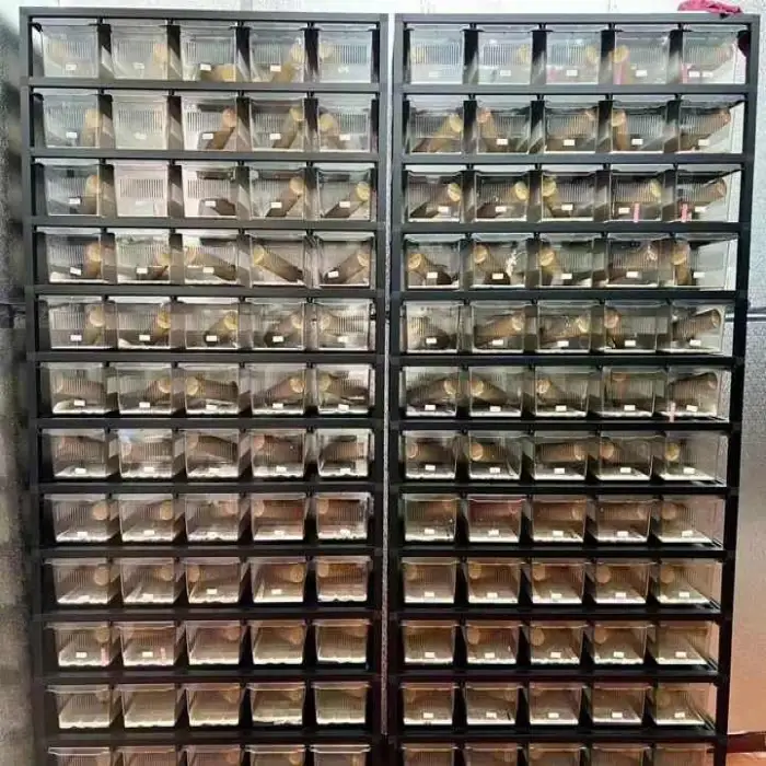 Racks for Snake Reptile Enclosure Snake TankTub Snake Breeding Rack