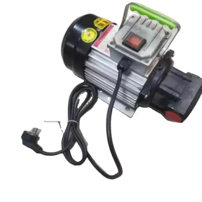 220V Diesel Self-priming Gear Pump Portable Portable Pump 12V Small Electric Sump Pump