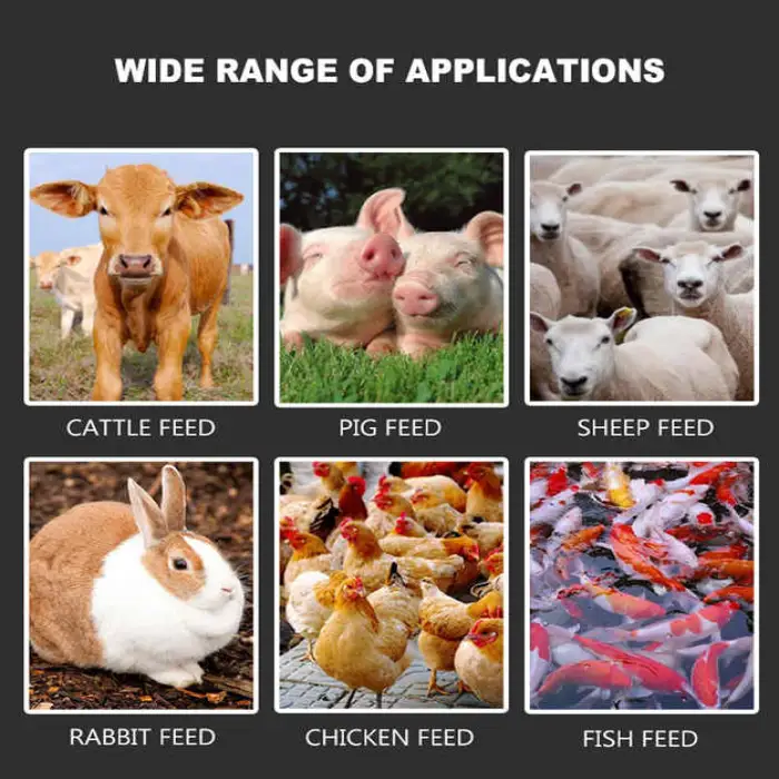 Feed Processing Machines Pellet Machines for Animal Feed Poultry 150 kg Per Hour Granular Machine