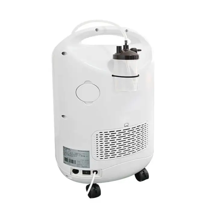 1L 2L 10L Mini Oxygen Generator Physical Therapy Equipment for Pet Clinics Breathing Rehabilitation Small Oxygen Concentrator