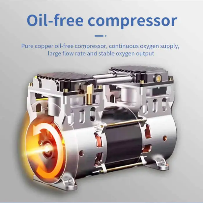 1L 2L 10L Mini Oxygen Generator Physical Therapy Equipment for Pet Clinics Breathing Rehabilitation Small Oxygen Concentrator