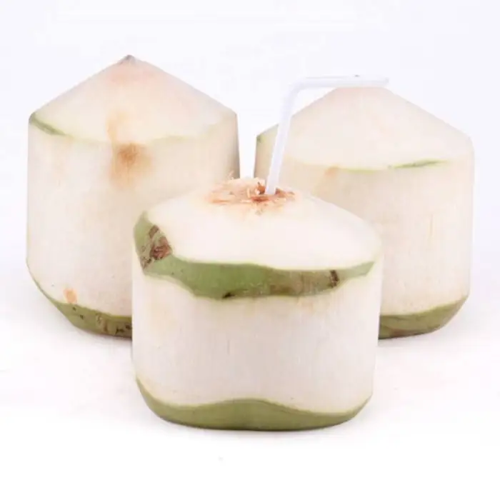 Stainless Steel Manual Coconut Opener/Green Coconut Driller/Young Coconut Knife Drill