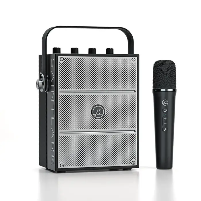40W Portable Bluetooth Speaker Professional PA Speaker With Wireless Mic for Meeting Karaoke