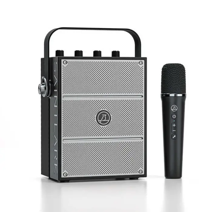 40W Portable Bluetooth Speaker Professional PA Speaker With Wireless Mic for Meeting Karaoke
