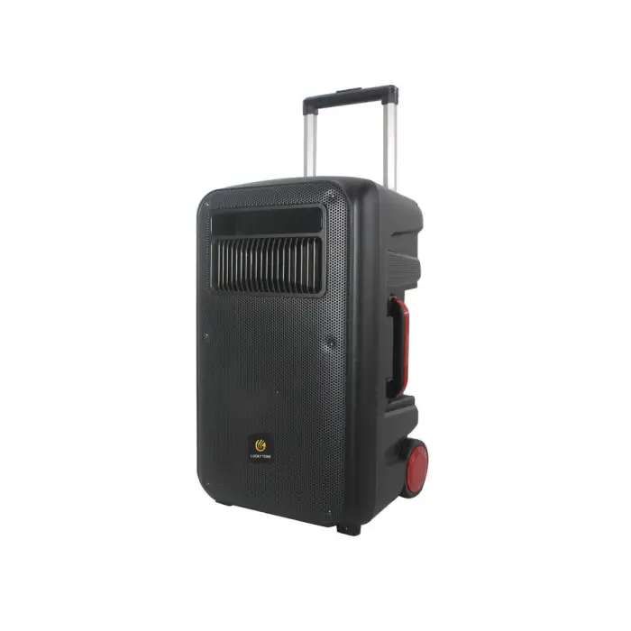 12-inch Portable Speaker Supports Bluetooth with Built-in Battery and Microphones for Parties, Outdoor Activities and Trips