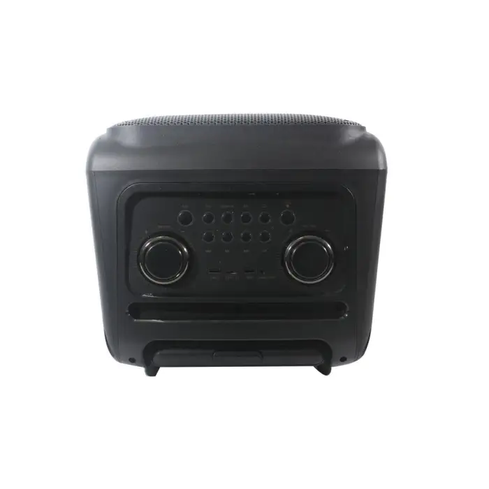 12-inch Portable Speaker Supports Bluetooth with Built-in Battery and Microphones for Parties, Outdoor Activities and Trips