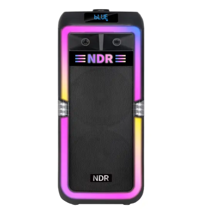 NDR-1708 8-Inch Active Woofer Trolley Speaker with 80W Outdoor Bluetooth Portable Bass Subwoofer Dual Microphone for Parties