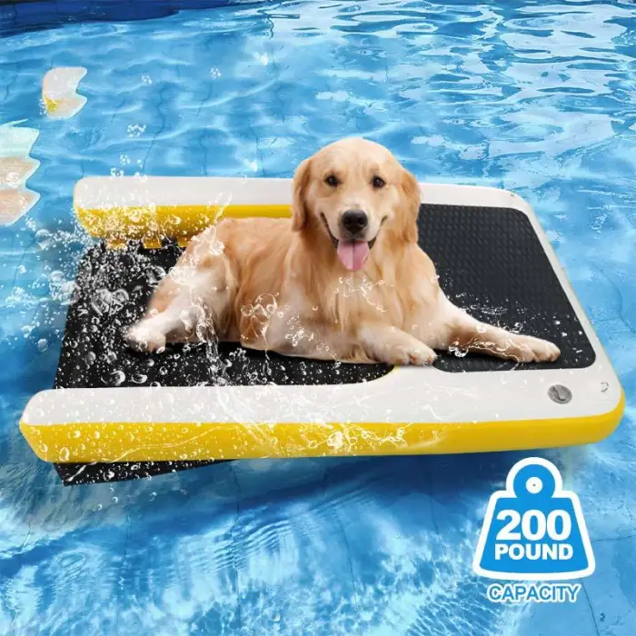 Custom Size Dog Water Ramp with Metal D-Rings for Boats, Docks & Pools Supports 200 Lbs