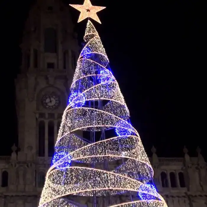 Outdoor 3D Christmas Tree Light LED Motif Light