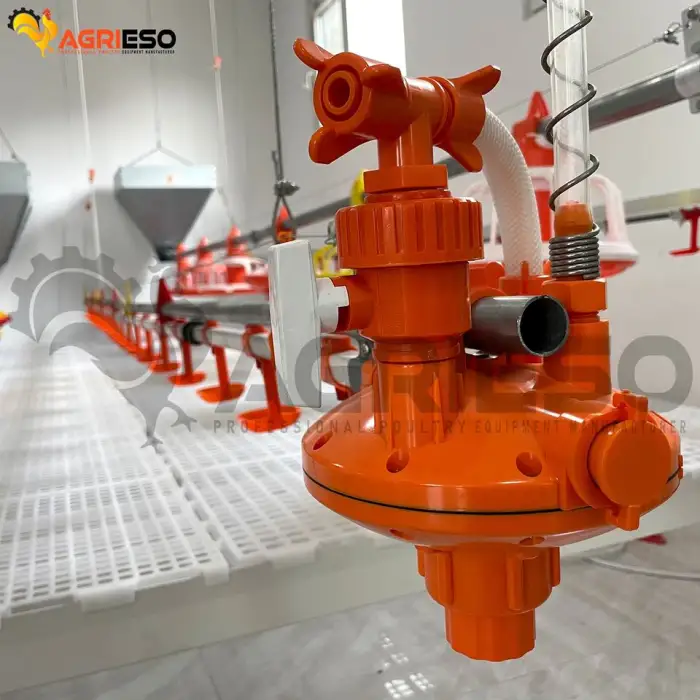 Complete Chicken Poultry Feed Line Project Farm Equipment for Automatic Chicken Feeder Poultry Automatic Feeding System