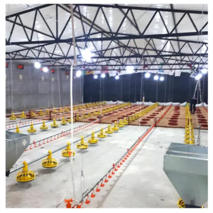 Complete Chicken Poultry Feed Line Project Farm Equipment for Automatic Chicken Feeder Poultry Automatic Feeding System