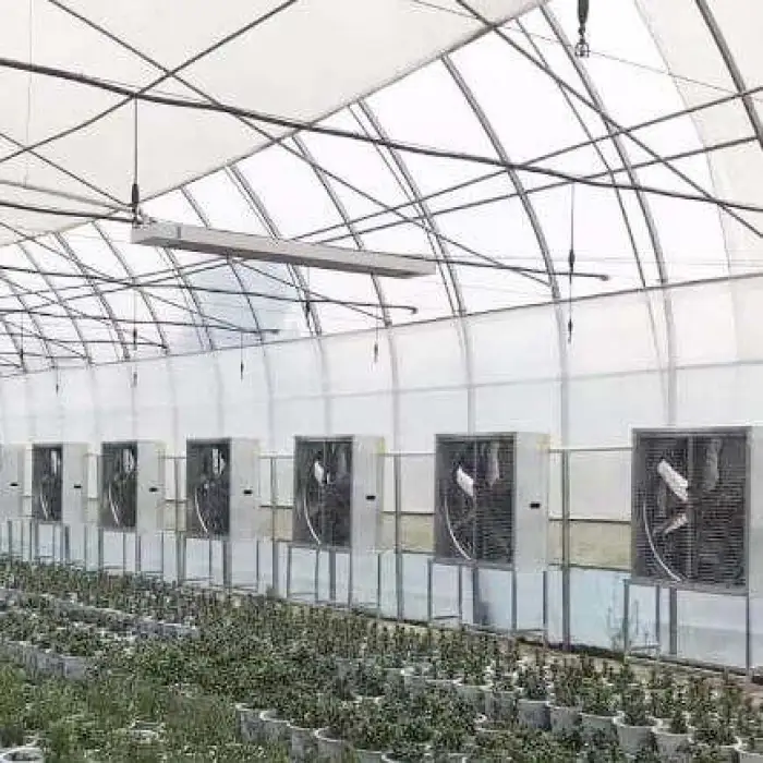 Industrial 16000CFM Cooling Exhaust Fan Greenhouse Livestock Chicken House Poultry Farm Low Noise Animal Husbandry Equipment