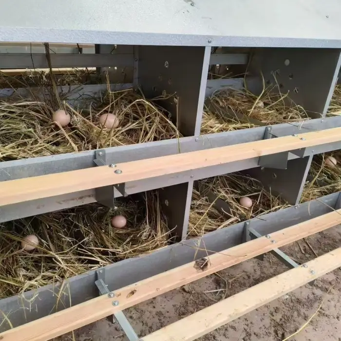 24-Hole Chicken Egg Nest Box for Poultry Farms Mobile Chicken Laying Box for Chicken Farm Animal Husbandry Equipment