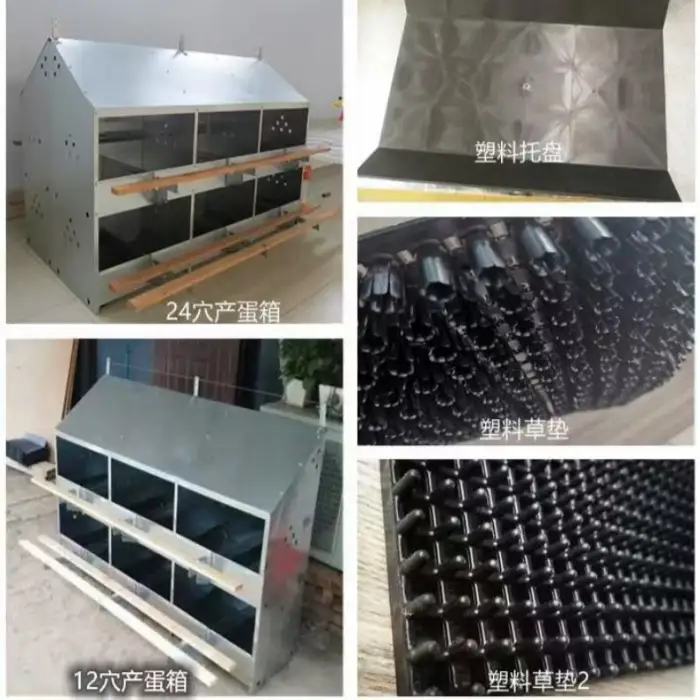 24-Hole Chicken Egg Nest Box for Poultry Farms Mobile Chicken Laying Box for Chicken Farm Animal Husbandry Equipment