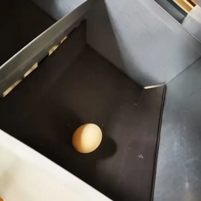 24-Hole Chicken Egg Nest Box for Poultry Farms Mobile Chicken Laying Box for Chicken Farm Animal Husbandry Equipment