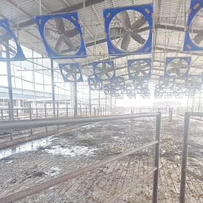 Beltless Ceiling Exhaust Fan for Farm Animals for Cow/Dairy/Poultry Husbandry Animal Husbandry Equipment