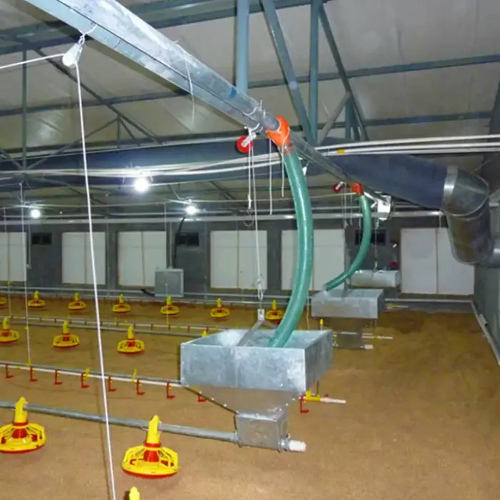 of Automatic Poultry Feeding System Broiler and Breeder Pan Feeder