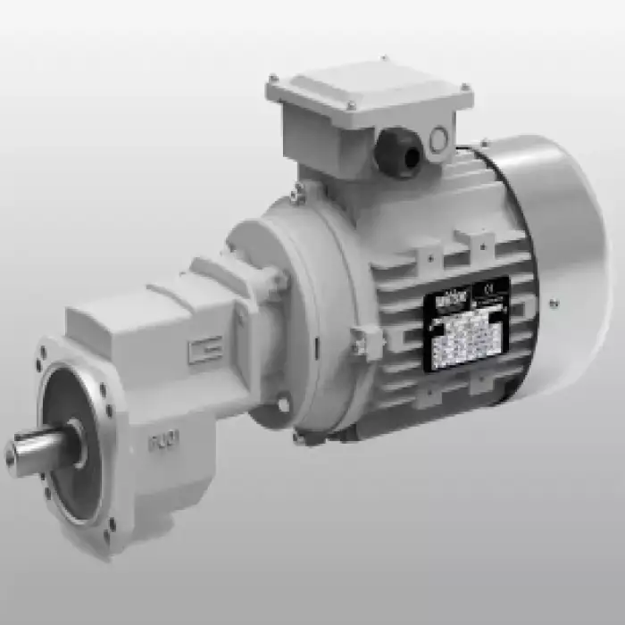 of Automatic Poultry Feeding System Broiler and Breeder Pan Feeder