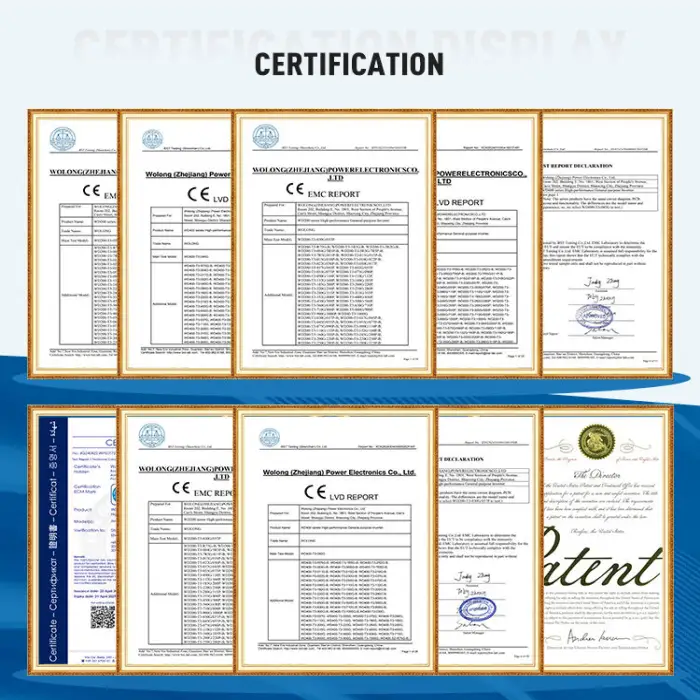 WOLONG High Performance 0.75W DC150~400V/AC220V Solar Water Pump System for Submersible Pump