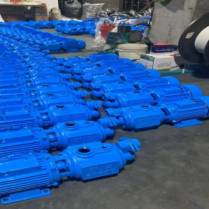 High-Performance Electric Stainless Steel Water Pump Silent Booster Screw Water Pump for Household