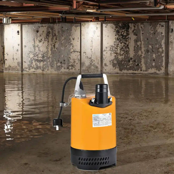 MEUDY FB Series 0.75kw Portable Submersible Sump Pump Customizable Cable Length Low Clean Water Centrifugal Pumps Watering Motor