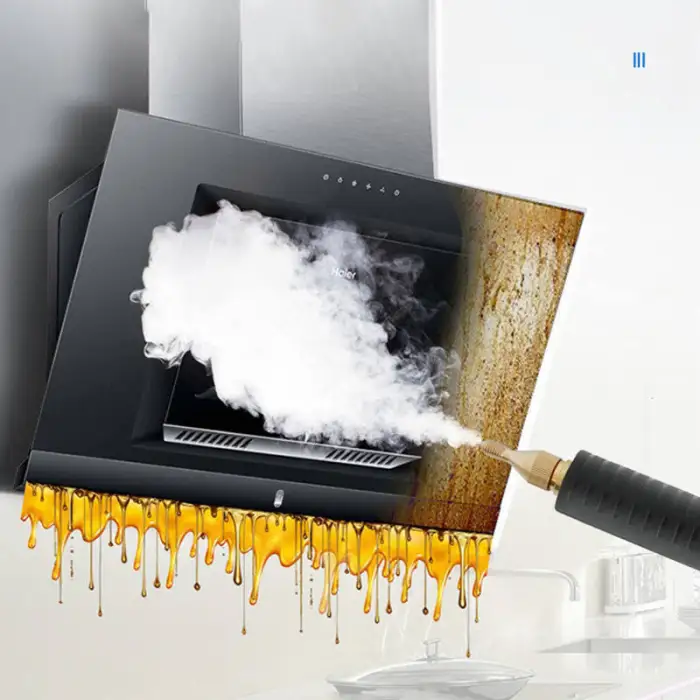 Household and Commercial Steam Cleaning Machine High Temperature High Pressure Steam Cleaner 3500W