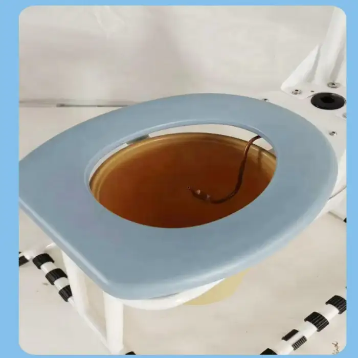 Electric Reverse Seated Toilet with Flushing for Disabled People Bathroom Safety Equipment for Buttocks Care