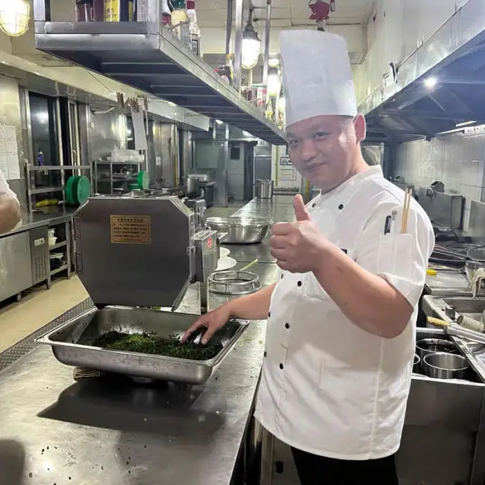 Multifunctional Green Onion Vegetable Cutter for Hotels and Fruit Processing Plants Fruit and Vegetable Cutting Machine