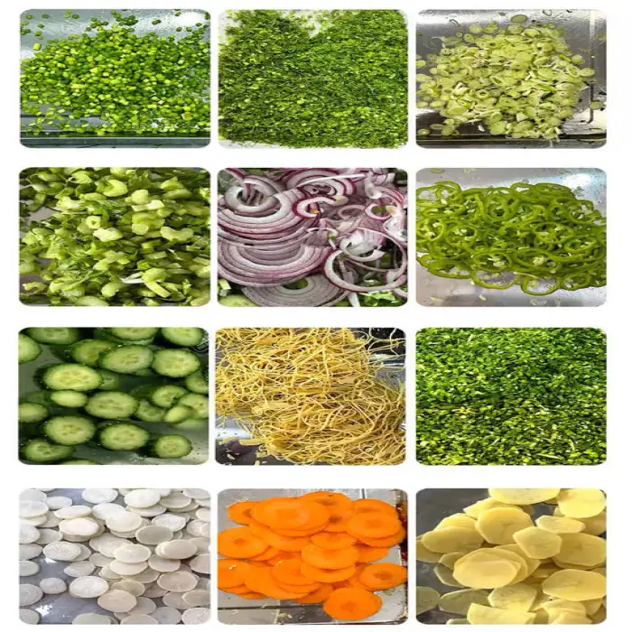 Multifunctional Green Onion Vegetable Cutter for Hotels and Fruit Processing Plants Fruit and Vegetable Cutting Machine