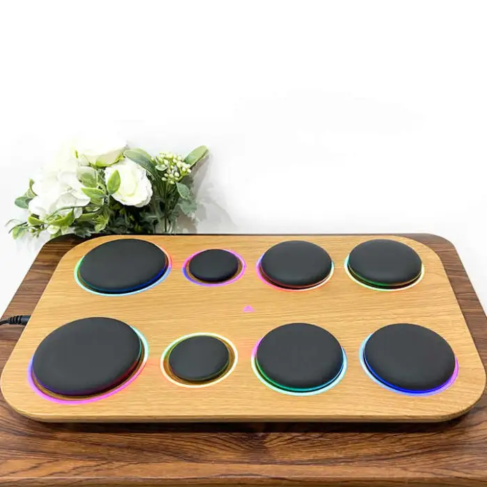 Electric Spa Stones Massager and Heater Kit Heated Stone Therapy Massager Spa Set