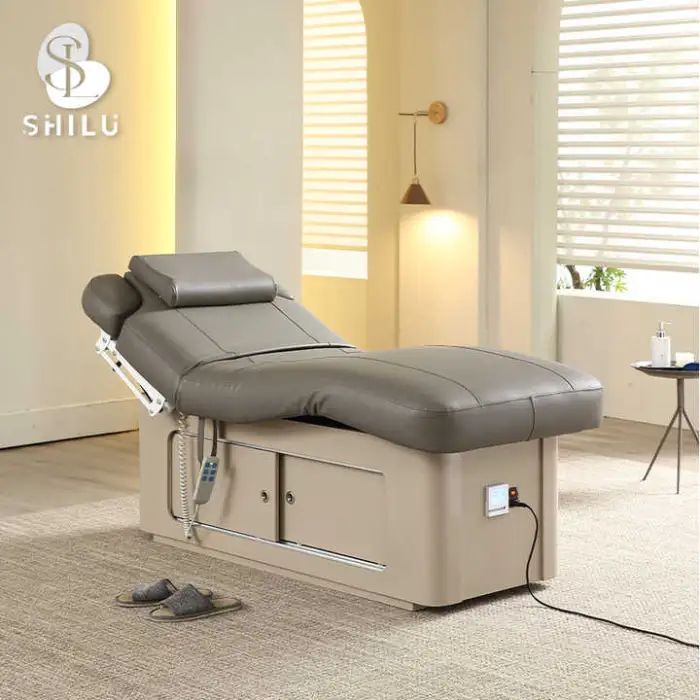 Multi Functional Spa Beauty Bed Double Motor Electric De Professionnel Massage Table DMC4